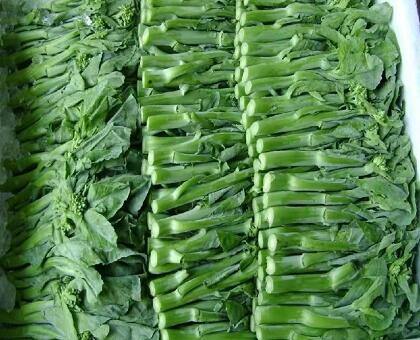 新鮮蔬菜配送:芥蘭