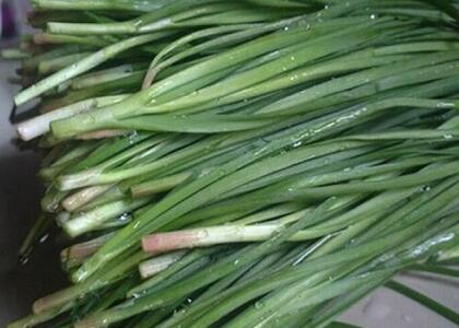 新鮮蔬菜配送:韭菜