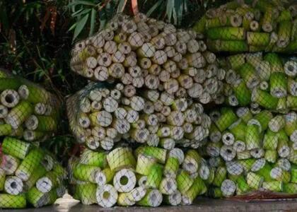 新鮮蔬菜配送:鮮竹筍